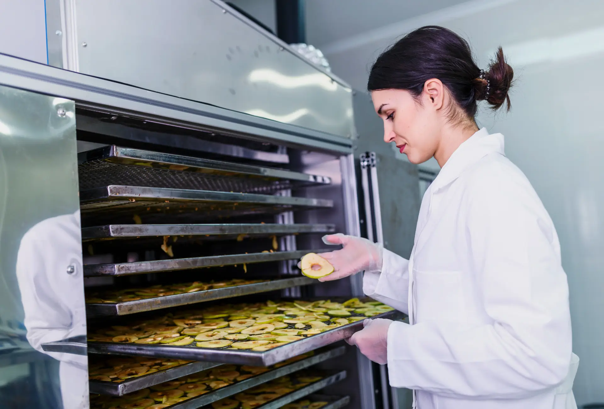 The Silent Workhorses: Industrial Ovens & Multi-Tray Dehydrators Redefining Productivity